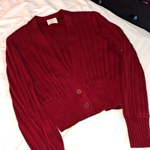 Aritizia cropped Sweater